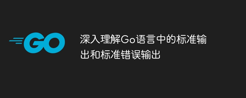 深入理解Go语言中的标准输出和标准错误输出