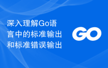 深入理解Go语言中的标准输出和标准错误输出