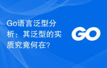 Go语言泛型分析:其泛型的实质究竟何在?