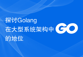 探讨Golang在大型系统架构中的地位