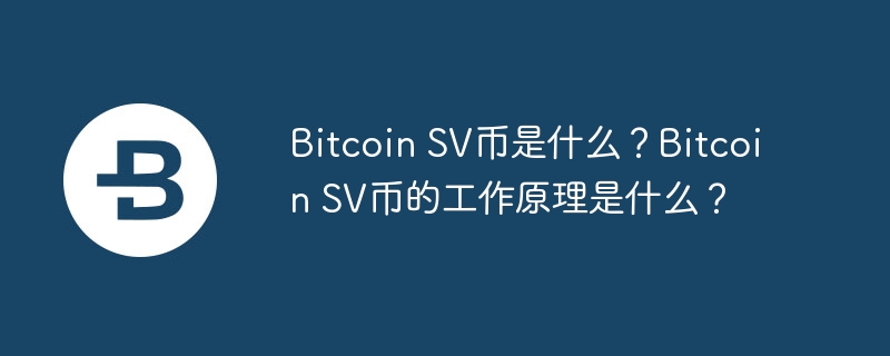 bitcoin sv币是什么？bitcoin sv币的工作原理是什么？
