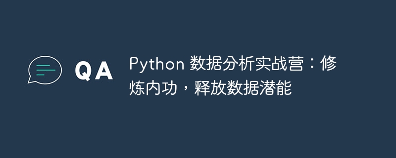 python 数据分析实战营:修炼内功,释放数据潜能