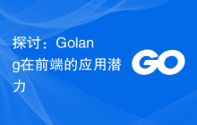 探讨：Golang在前端的应用潜力