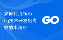 如何利用Golang技术开发出高效的小程序