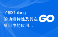 了解Golang的功能特性及其在项目中的应用