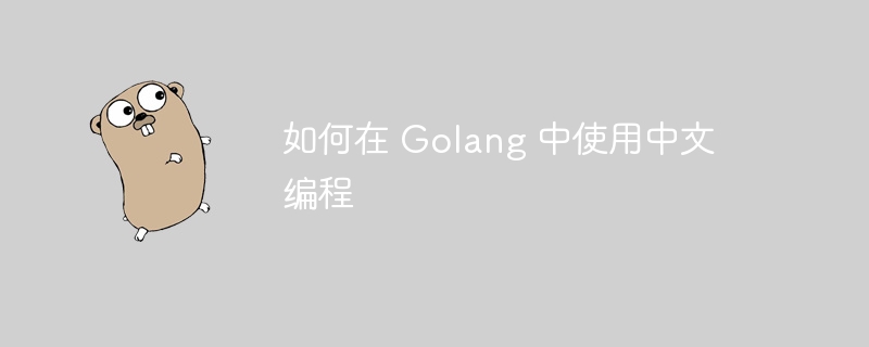 如何在 golang 中使用中文编程