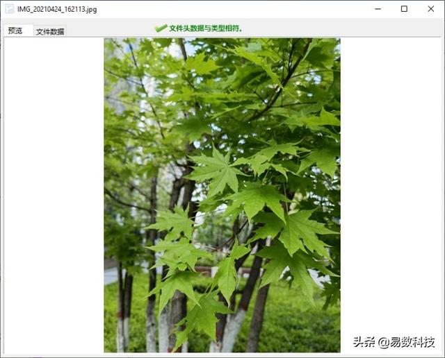 USB ディスクがフォーマットされていません