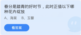 蚂蚁庄园3月20日：春分是踏青的好时节此时正值以下哪种花卉绽放