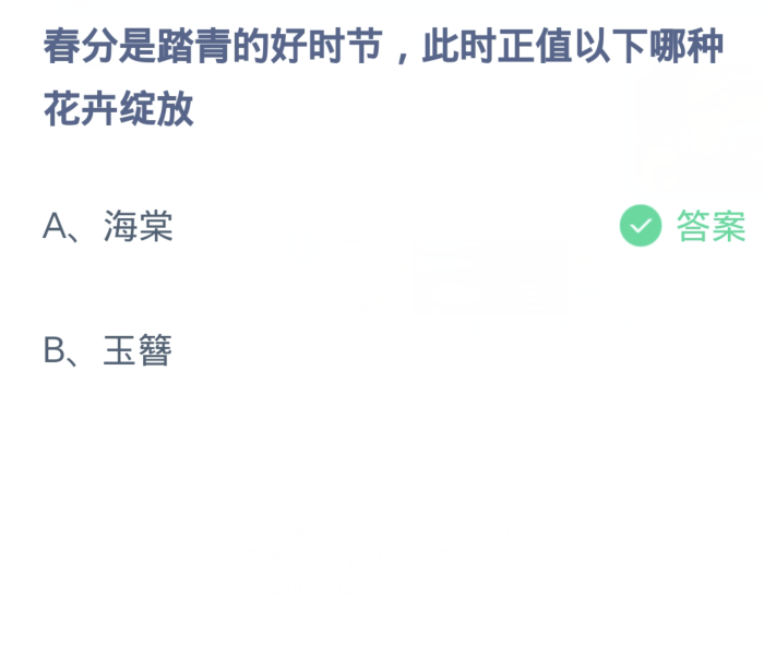 蚂蚁庄园3月20日：春分是踏青的好时节此时正值以下哪种花卉绽放