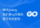 探讨golang在扩展ng方面的潜力与可能性