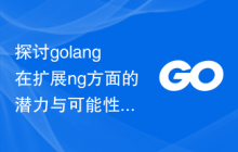 探讨golang在扩展ng方面的潜力与可能性