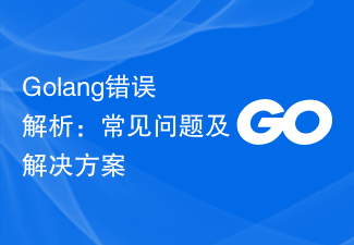 Golang错误解析：常见问题及解决方案