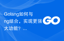 Golang如何与ng结合，实现更强大功能？