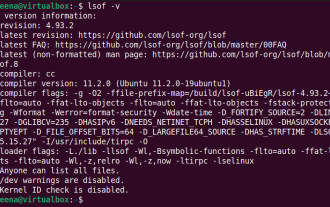 How to use LSOF to monitor ports in real time