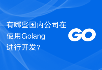 有哪些国内公司在使用Golang进行开发？