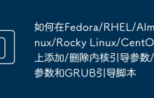 如何在Fedora/RHEL/AlmaLinux/Rocky Linux/CentOS流上添加/删除内核引导参数/参数和GRUB引导脚本