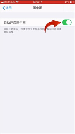 ios14畫中畫模式在哪裡