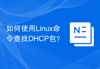 如何使用Linux命令查找DHCP包？