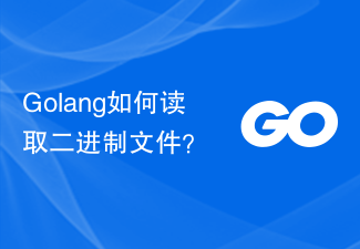 Bagaimana untuk membaca fail binari di Golang?