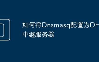 How to configure Dnsmasq as a DHCP relay server