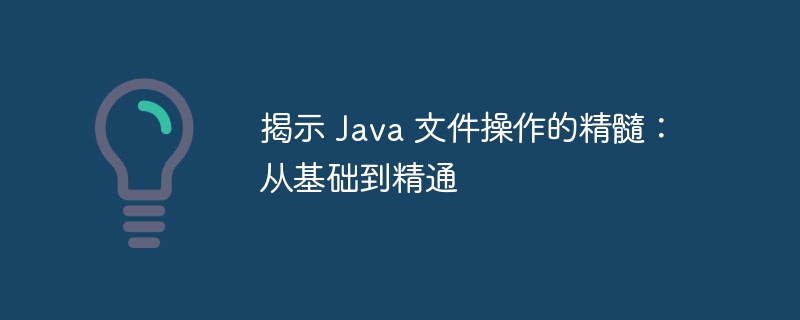 揭示 Java 文件操作的精髓：从基础到精通-java教程-
