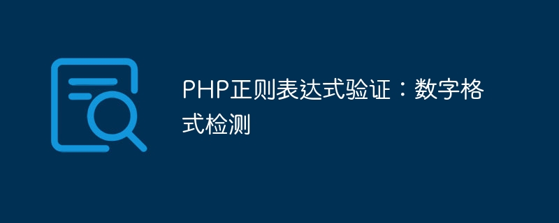 PHP正则表达式验证：数字格式检测-php教程-