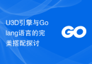 U3D引擎与Golang语言的完美搭配探讨