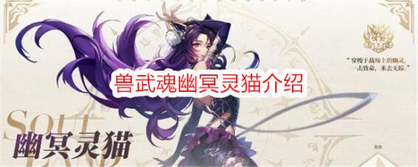 斗罗大陆史莱克学院兽武魂幽冥灵猫介绍 具体一览