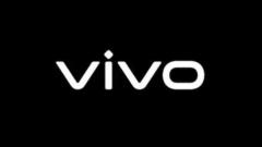 Former vivo employee: He still received year-end bonuses after leaving his job for more than half a year, and he also received N+1 for voluntarily leaving his job.