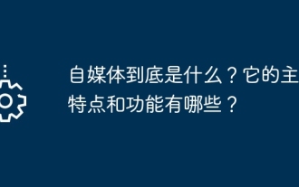 セルフメディアとは一体何でしょうか?その主な特徴と機能は何ですか?