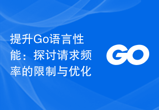 提升Go语言性能：探讨请求频率的限制与优化