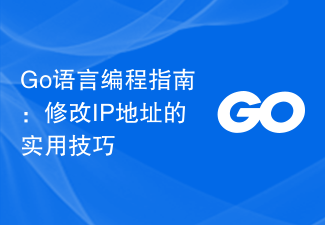 Go语言编程指南：修改IP地址的实用技巧