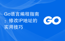 Go语言编程指南:修改IP地址的实用技巧