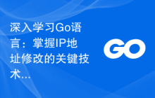深入学习Go语言:掌握IP地址修改的关键技术