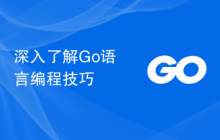 深入了解Go语言编程技巧