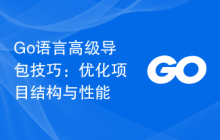 Go语言高级导包技巧:优化项目结构与性能