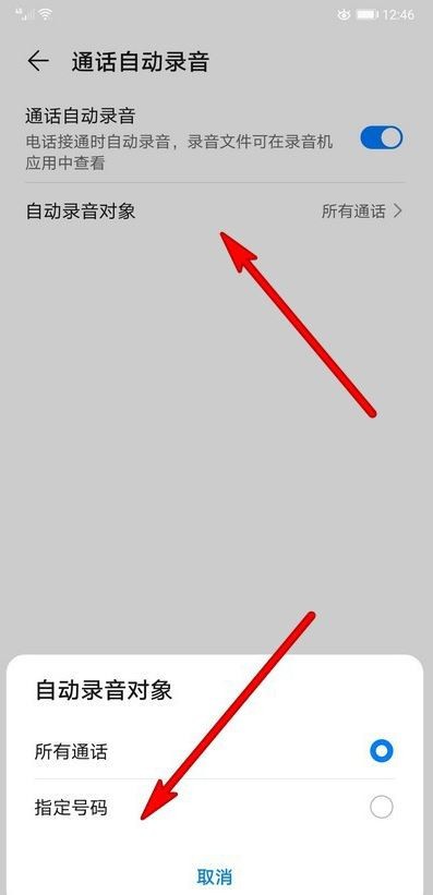 荣耀v30pro设置指定号码通话自动录音的操作流程
