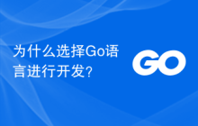 为什么选择Go语言进行开发?