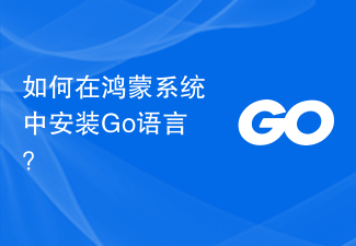 如何在鸿蒙系统中安装Go语言?