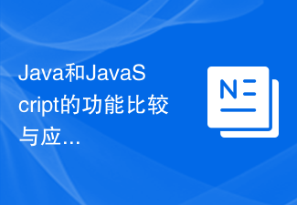 Java和JavaScript的功能比较与应用场景分析