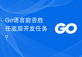 Go语言能否胜任底层开发任务？
