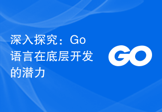 深入探究：Go语言在底层开发的潜力