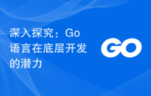 深入探究:Go语言在底层开发的潜力
