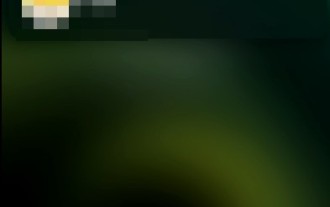 Apple 휴대폰에서 얼굴 인식을 끄는 방법_Apple 휴대폰 설정에서 얼굴 인식을 비활성화하는 방법