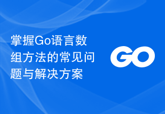 Master the common problems and solutions of array methods in Go language