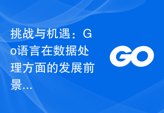 挑战与机遇：Go语言在数据处理方面的发展前景
