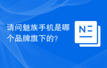 请问魅族手机是哪个品牌旗下的？