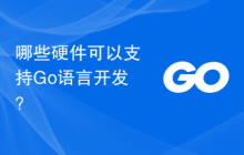 哪些硬件可以支持Go语言开发？
