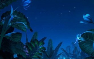 Wo kann man die Musik-Rankings auf NetEase Cloud Music überprüfen? So überprüfen Sie die Musik-Rankings auf NetEase Cloud Music