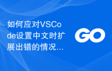 如何应对VSCode设置中文时扩展出错的情况